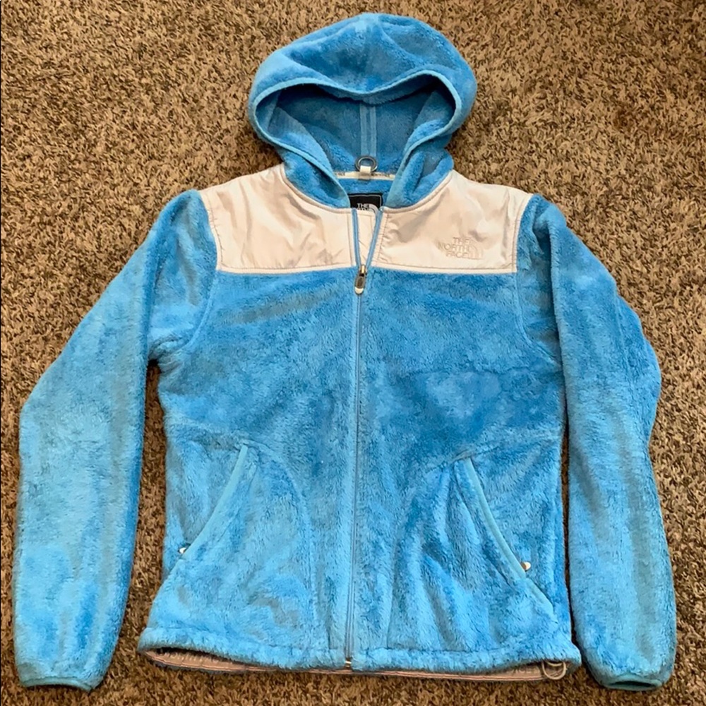 The north face jacket